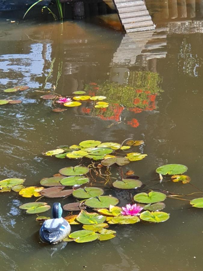 La Mare Aux Canards Sassetot-le-Mauconduit Luaran gambar